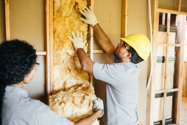 Insulation Contractors for Homes in Brown Station, MD