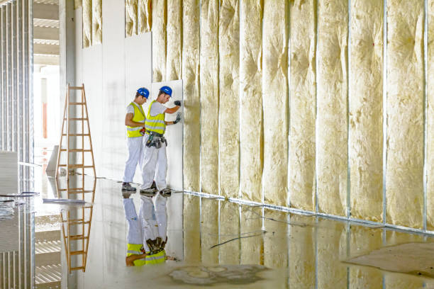 Range of Insulation Solutions in Brown Station, MD